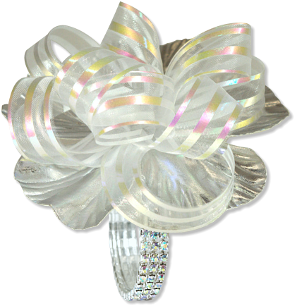 Delightzz Rhinestone Dazzle 6 Pc